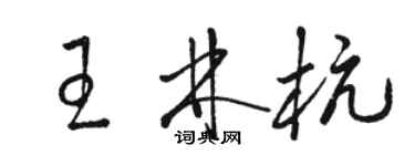 骆恒光王林杭草书个性签名怎么写