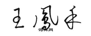 骆恒光王凤禾草书个性签名怎么写