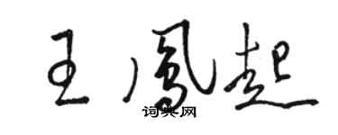 骆恒光王凤起草书个性签名怎么写