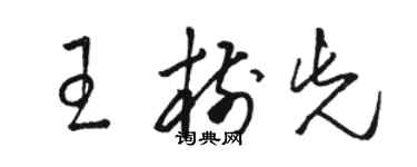 骆恒光王树先草书个性签名怎么写