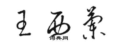 骆恒光王西兰草书个性签名怎么写