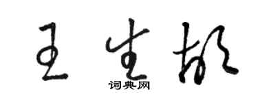 骆恒光王生胡草书个性签名怎么写