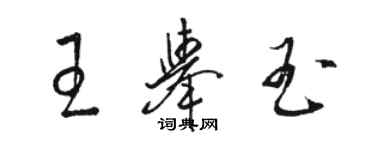 骆恒光王举玉草书个性签名怎么写