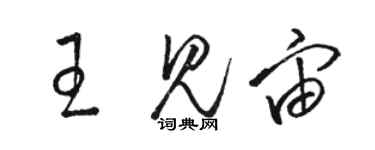 骆恒光王见宙草书个性签名怎么写