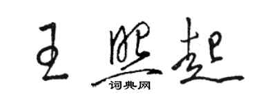骆恒光王照起草书个性签名怎么写