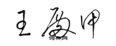 骆恒光王殿甲草书个性签名怎么写
