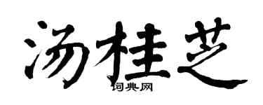 翁闿运汤桂芝楷书个性签名怎么写