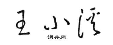 骆恒光王小溪草书个性签名怎么写