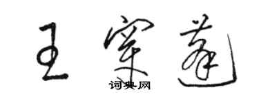 骆恒光王穿蓬草书个性签名怎么写