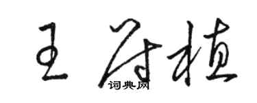 骆恒光王尉植草书个性签名怎么写