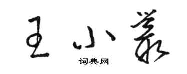 骆恒光王小丛草书个性签名怎么写