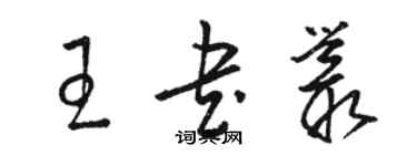 骆恒光王书丛草书个性签名怎么写