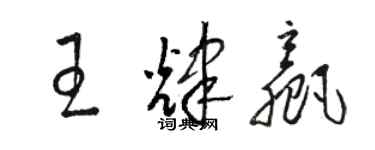 骆恒光王辉赢草书个性签名怎么写