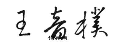 骆恒光王音朴草书个性签名怎么写