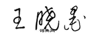 骆恒光王晓墨草书个性签名怎么写