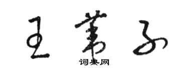 骆恒光王苇子草书个性签名怎么写