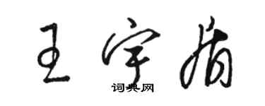 骆恒光王宇盾草书个性签名怎么写
