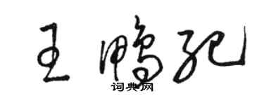 骆恒光王鸭纪草书个性签名怎么写