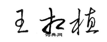 骆恒光王相植草书个性签名怎么写