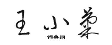 骆恒光王小菊草书个性签名怎么写