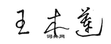 骆恒光王木莲草书个性签名怎么写