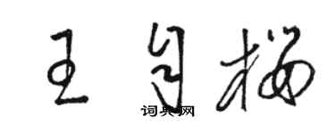 骆恒光王自樱草书个性签名怎么写