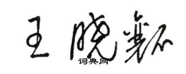 骆恒光王晓瓤草书个性签名怎么写
