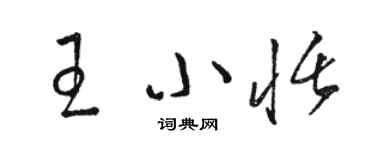 骆恒光王小恬草书个性签名怎么写