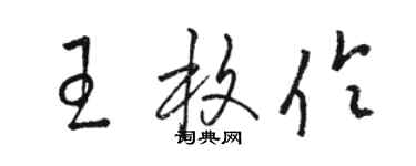 骆恒光王枚伶草书个性签名怎么写