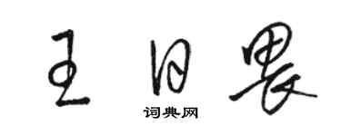 骆恒光王日畏草书个性签名怎么写