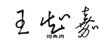 骆恒光王知嘉草书个性签名怎么写