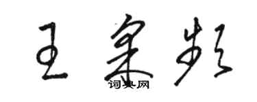 骆恒光王采频草书个性签名怎么写