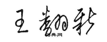 骆恒光王翻新草书个性签名怎么写