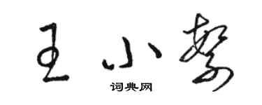 骆恒光王小繁草书个性签名怎么写