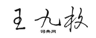 骆恒光王九枚草书个性签名怎么写