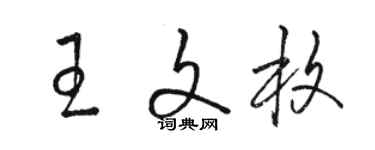 骆恒光王文枚草书个性签名怎么写