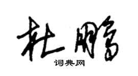 朱锡荣杜鹏草书个性签名怎么写