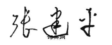 骆恒光张建平草书个性签名怎么写