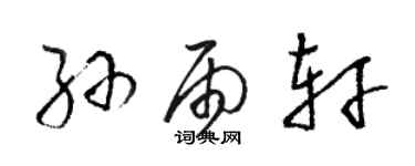 骆恒光孙雨轩草书个性签名怎么写