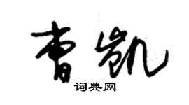 朱锡荣曹凯草书个性签名怎么写