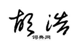 朱锡荣胡浩草书个性签名怎么写