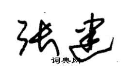 朱锡荣张建草书个性签名怎么写