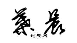 朱锡荣叶晨草书个性签名怎么写