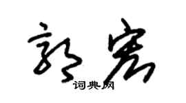 朱锡荣郭宏草书个性签名怎么写