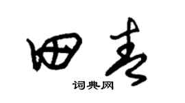 朱锡荣田青草书个性签名怎么写