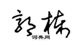 朱锡荣郭栋草书个性签名怎么写