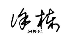 朱锡荣徐栋草书个性签名怎么写