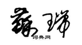 朱锡荣苏瑞草书个性签名怎么写