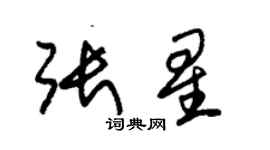 朱锡荣张星草书个性签名怎么写