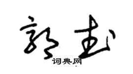 朱锡荣郭武草书个性签名怎么写